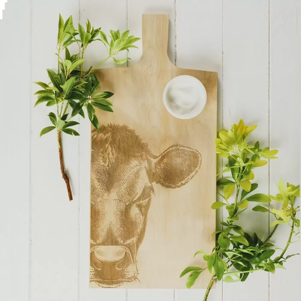 Large Sycamore Jersey Cow Paddle